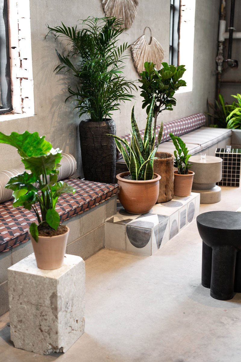 Fortuna's Row Brunch & Supper Club - Hospitality Concept – byshg